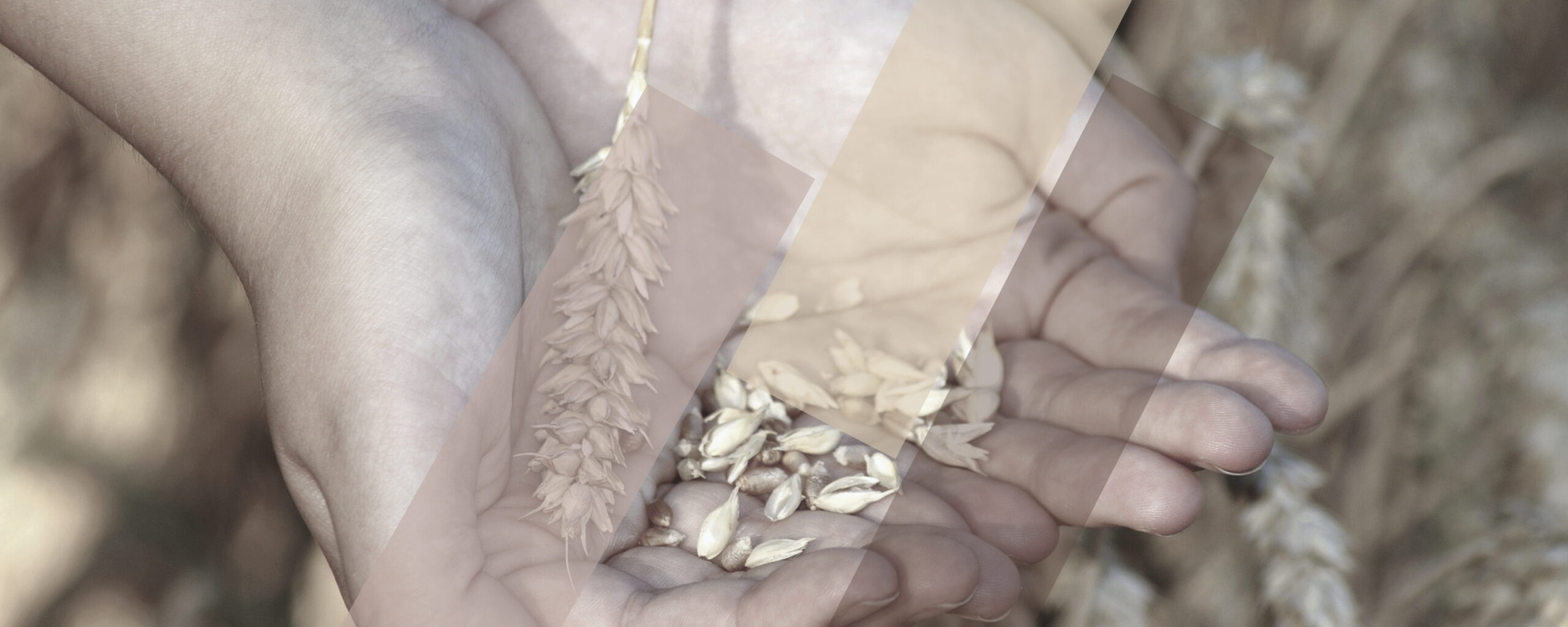 EUCHARISTIEFEIER | VERABSCHIEDUNG DER PENSIONIERTEN RELIGIONSLEHRER:INNEN